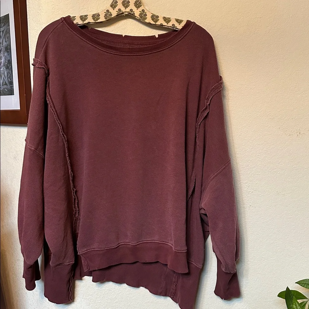 NWT Free People We The Free | Camden Sweatshirt Pullover | XS